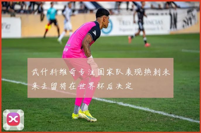 武什科维奇专注国家队表现热刺未来去留将在世界杯后决定