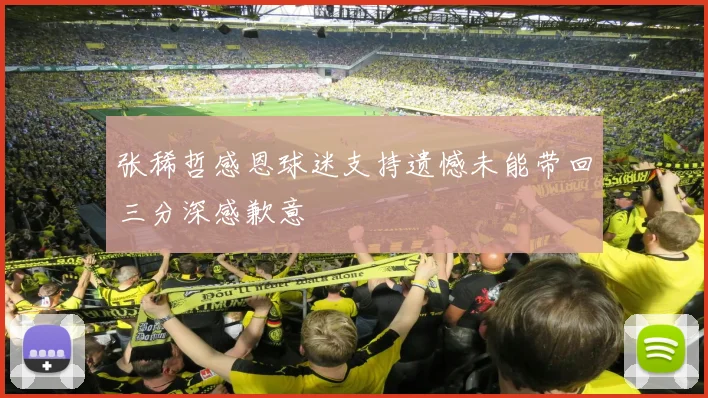 张稀哲感恩球迷支持遗憾未能带回三分深感歉意